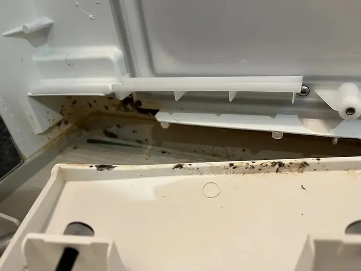 エプロンを外した後の浴槽底の汚れ①