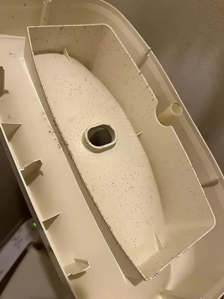 タンク槽の蓋の裏側の黒いカビ