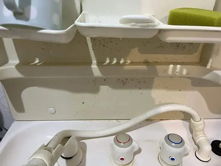 石けん置き下の見えない部分に黒カビが残っています