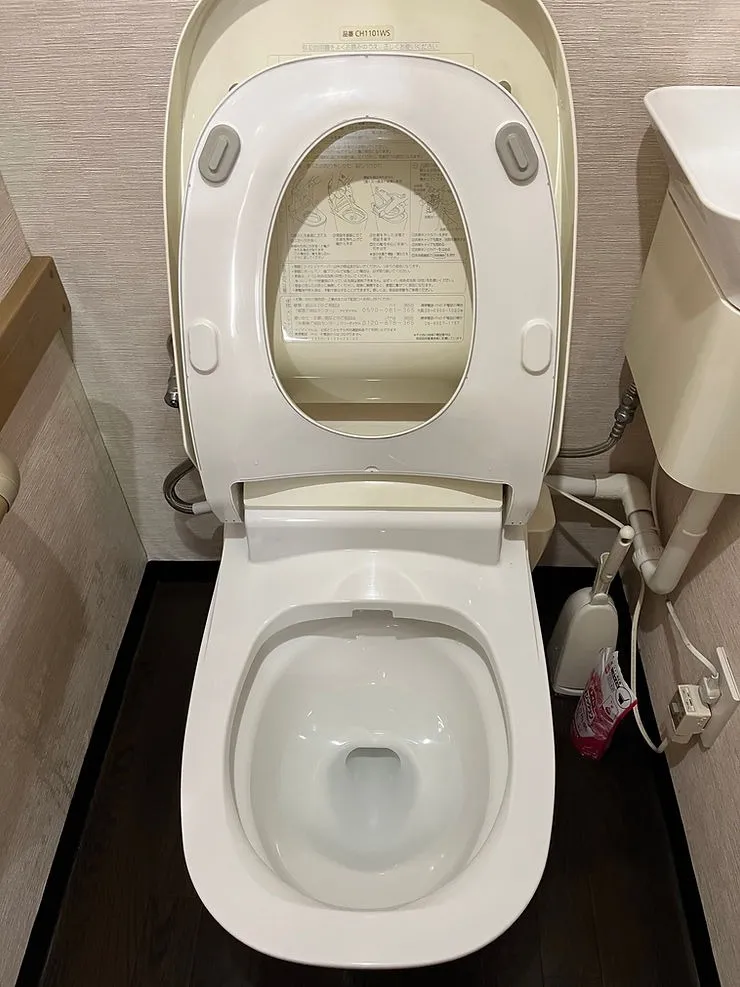 きれいになりました スッキリ①