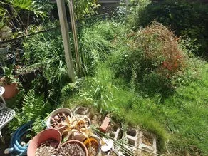 【ご利用実績紹介】お庭の草刈りのご依頼をいただきました